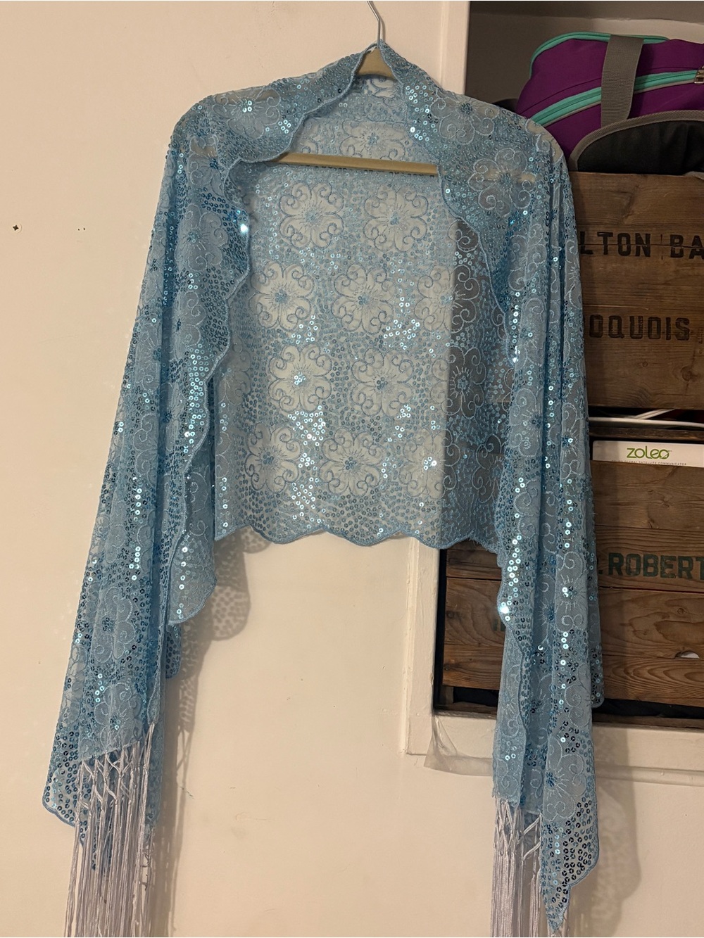 Vintage Light Blue Sequin Shrug Bolero Evening Shawl Wrap Top Cape with Fringe